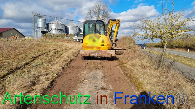 © Artenschutz in Franken® Bild zum Eintrag (1063297-160)