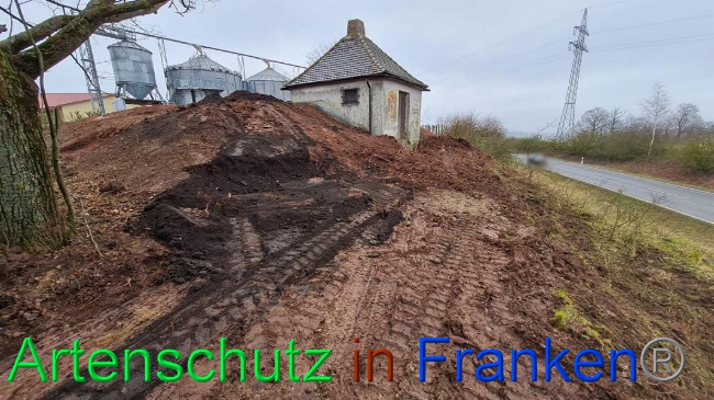 © Artenschutz in Franken® Bild zum Eintrag (1063298-160)