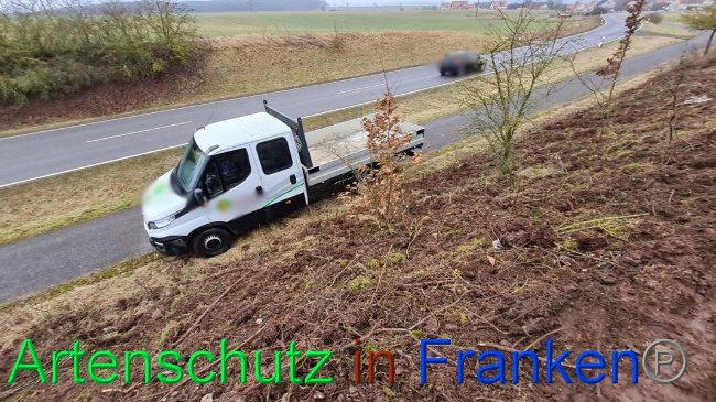 © Artenschutz in Franken® Bild zum Eintrag (1063299-160)