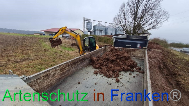 © Artenschutz in Franken® Bild zum Eintrag (1063300-160)