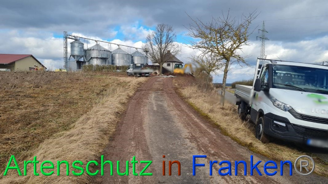 © Artenschutz in Franken® Bild zum Eintrag (1063306-160)