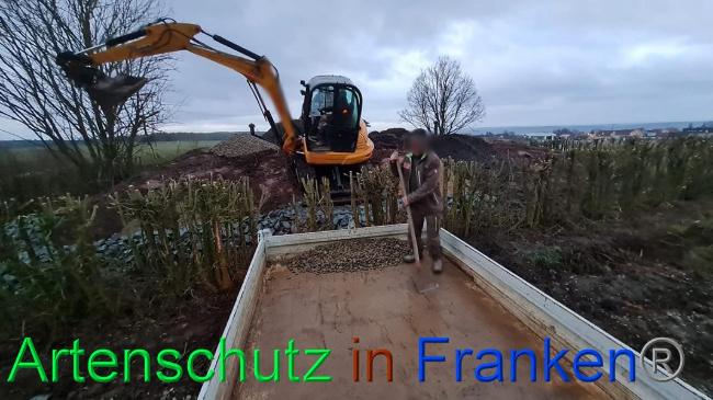 © Artenschutz in Franken® Bild zum Eintrag (1063307-160)