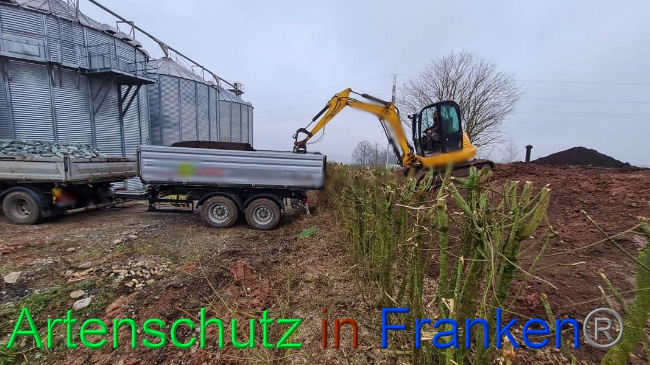 © Artenschutz in Franken® Bild zum Eintrag (1063325-160)