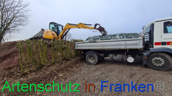 © Artenschutz in Franken® Bild zum Eintrag (1063326-160)
