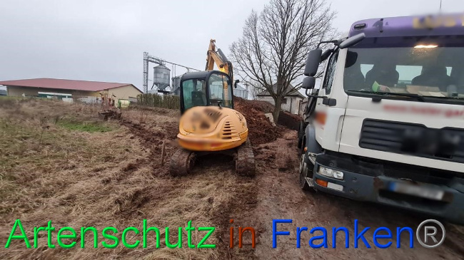 © Artenschutz in Franken® Bild zum Eintrag (1063327-160)