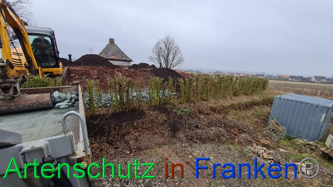 Bild zum Eintrag (1063330-160)