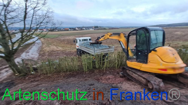 © Artenschutz in Franken® Bild zum Eintrag (1063339-160)