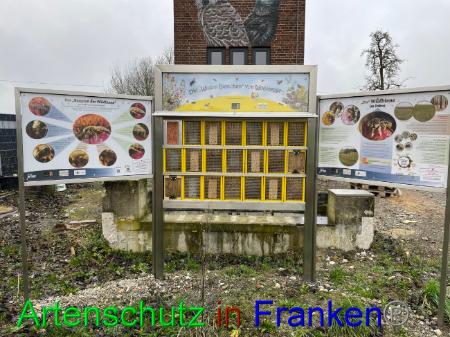 © Artenschutz in Franken® Bild zum Eintrag (1063388-160)