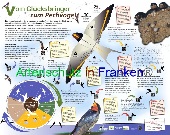 © Artenschutz in Franken® Bild zum Eintrag (1063483-160)