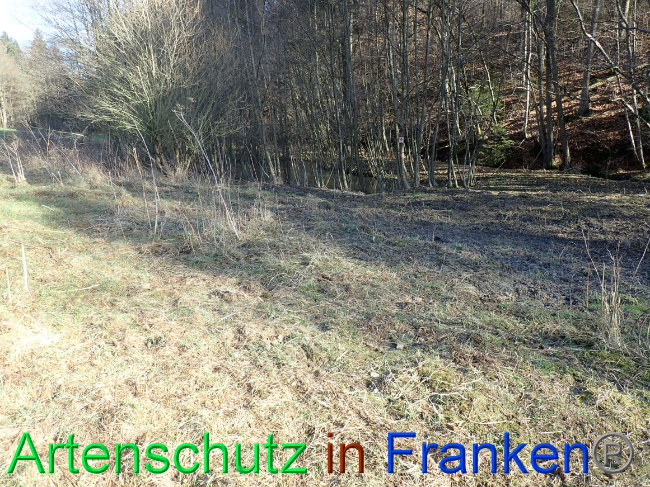 © Artenschutz in Franken® Bild zum Eintrag (1063633-160)