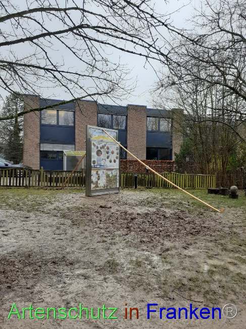© Artenschutz in Franken® Bild zum Eintrag (1063907-160)