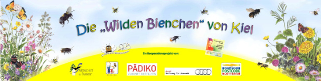 © Artenschutz in Franken® Bild zum Eintrag (1063908-160)