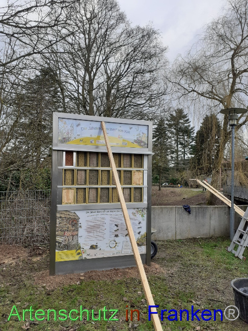 © Artenschutz in Franken® Bild zum Eintrag (1063915-160)