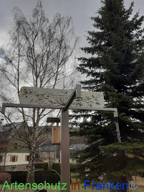 © Artenschutz in Franken® Bild zum Eintrag (1064053-160)