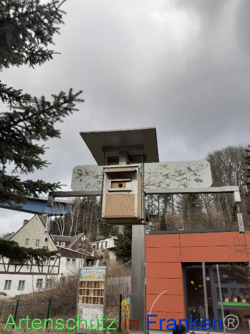 © Artenschutz in Franken® Bild zum Eintrag (1064054-160)