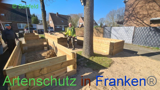 © Artenschutz in Franken® / Sonfeld Bild zum Eintrag (1064416-160)