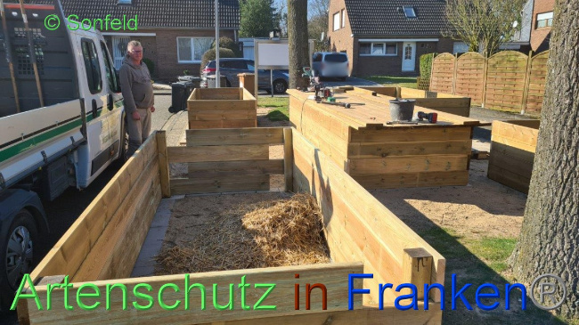 © Artenschutz in Franken® / Sonfeld Bild zum Eintrag (1064417-160)