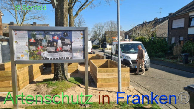 © Artenschutz in Franken® / Sonfeld Bild zum Eintrag (1064426-160)
