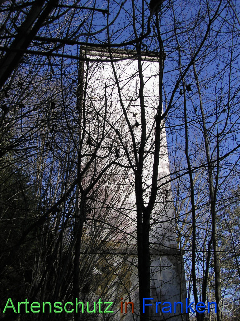 © Artenschutz in Franken® / Kunze Bild zum Eintrag (1064457-160)