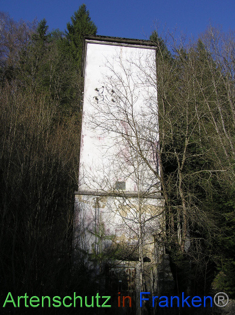 © Artenschutz in Franken® / Kunze Bild zum Eintrag (1064458-160)