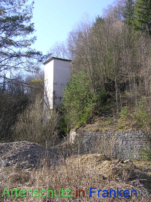 © Artenschutz in Franken® / Kunze Bild zum Eintrag (1064460-160)