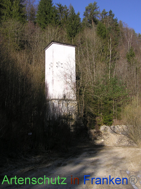 © Artenschutz in Franken® / Kunze Bild zum Eintrag (1064462-160)