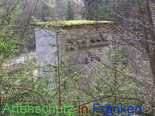 © Artenschutz in Franken® / Kunze Bild zum Eintrag (1064466-160)