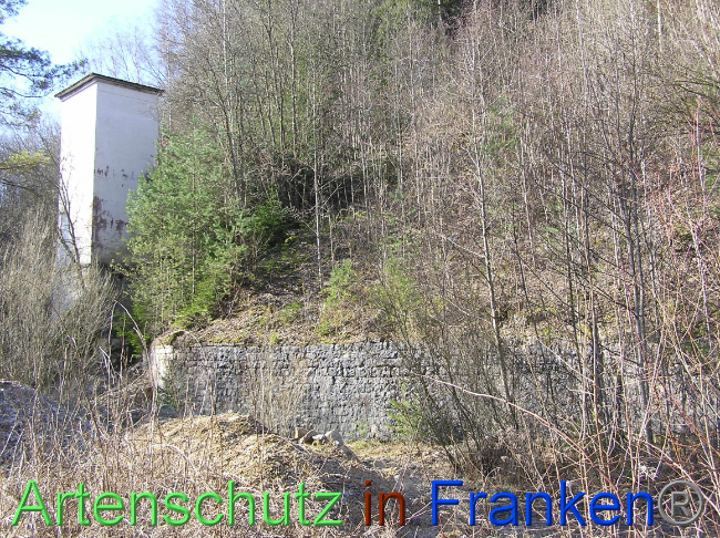 © Artenschutz in Franken® / Kunze Bild zum Eintrag (1064468-160)