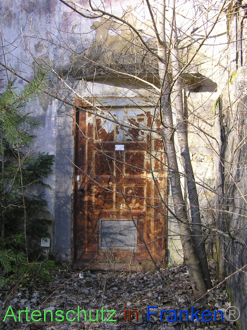 © Artenschutz in Franken® / Kunze Bild zum Eintrag (1064469-160)
