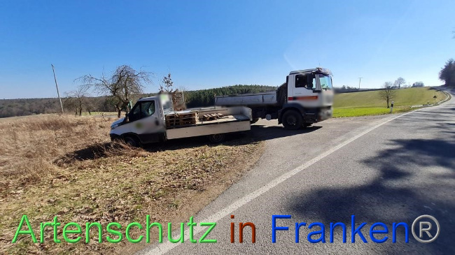 © Artenschutz in Franken® Bild zum Eintrag (1064616-160)