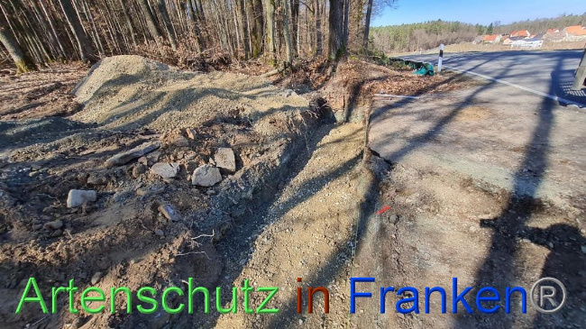 © Artenschutz in Franken® Bild zum Eintrag (1064619-160)