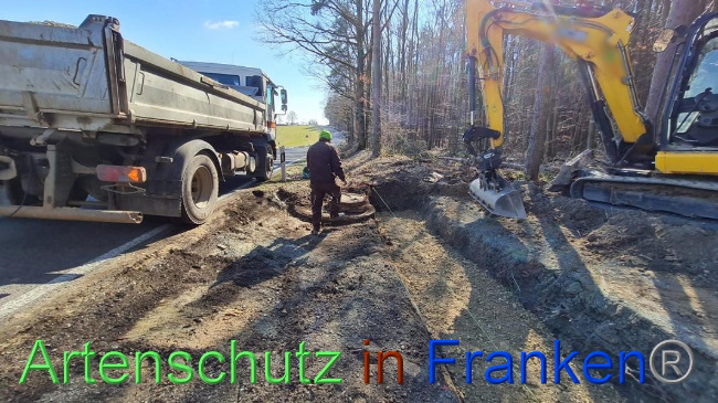 © Artenschutz in Franken® Bild zum Eintrag (1064620-160)