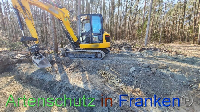 © Artenschutz in Franken® Bild zum Eintrag (1064623-160)