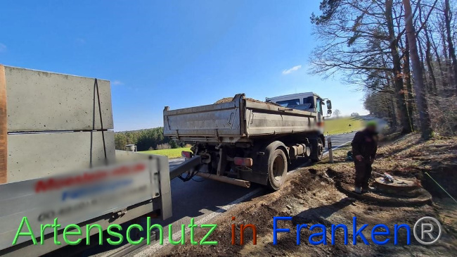 © Artenschutz in Franken® Bild zum Eintrag (1064624-160)