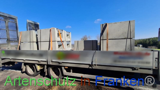 © Artenschutz in Franken® Bild zum Eintrag (1064625-160)