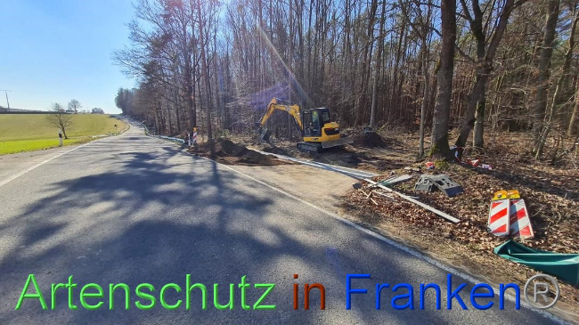 © Artenschutz in Franken® Bild zum Eintrag (1064627-160)