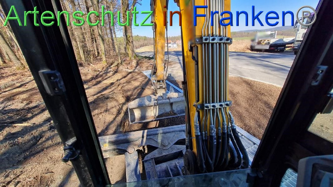 © Artenschutz in Franken® Bild zum Eintrag (1064628-160)