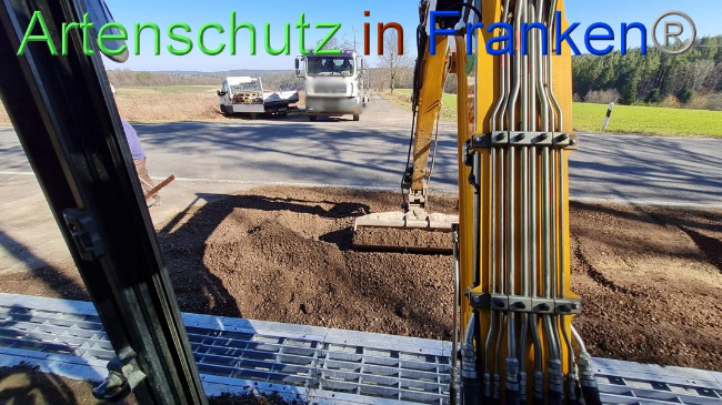© Artenschutz in Franken® Bild zum Eintrag (1064631-160)