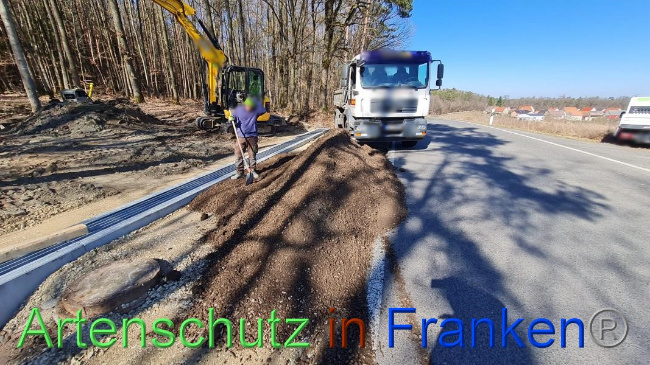 © Artenschutz in Franken® Bild zum Eintrag (1064632-160)