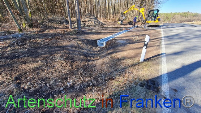 © Artenschutz in Franken® Bild zum Eintrag (1064633-160)