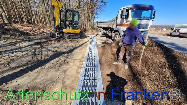 © Artenschutz in Franken® Bild zum Eintrag (1064635-160)