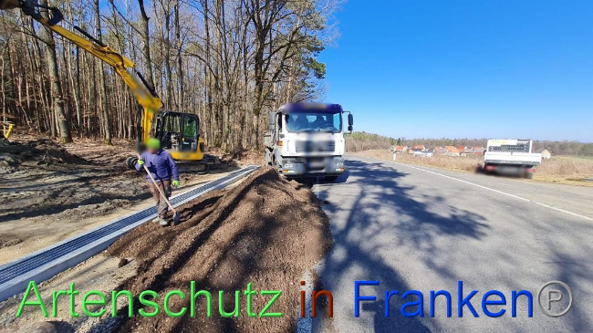 © Artenschutz in Franken® Bild zum Eintrag (1064636-160)