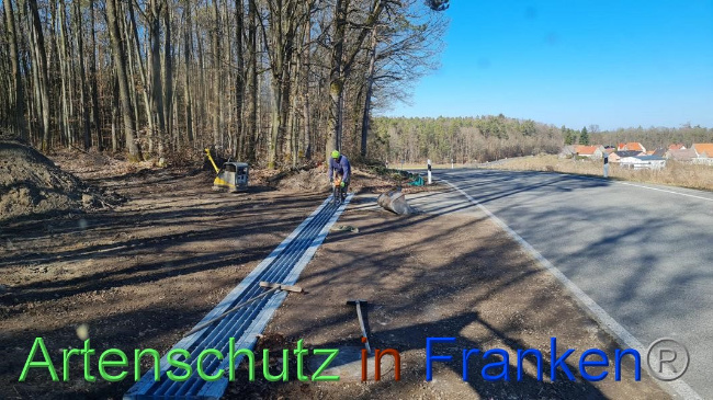 © Artenschutz in Franken® Bild zum Eintrag (1064642-160)