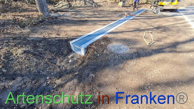 © Artenschutz in Franken® Bild zum Eintrag (1064643-160)