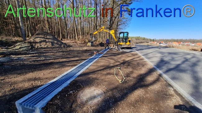 © Artenschutz in Franken® Bild zum Eintrag (1064644-160)