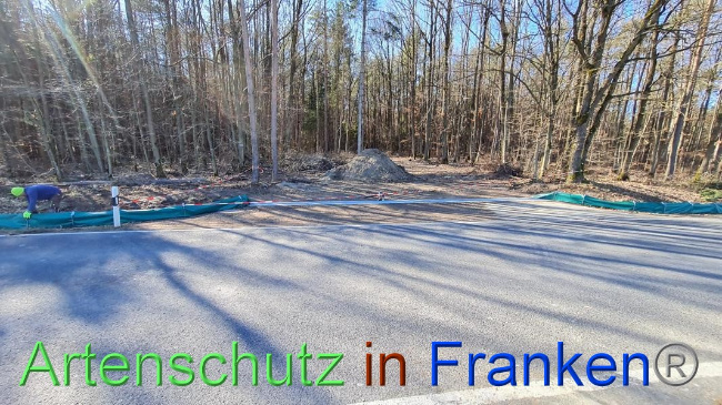 © Artenschutz in Franken® Bild zum Eintrag (1064646-160)