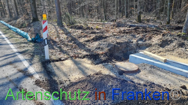 © Artenschutz in Franken® Bild zum Eintrag (1064648-160)