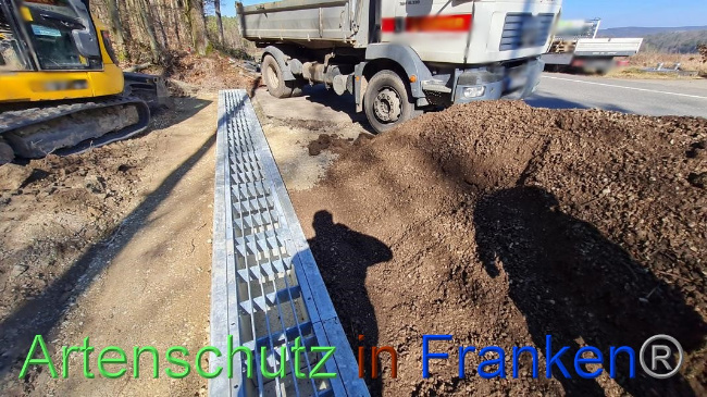 © Artenschutz in Franken® Bild zum Eintrag (1064650-160)