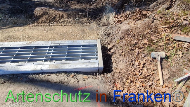 © Artenschutz in Franken® Bild zum Eintrag (1064651-160)