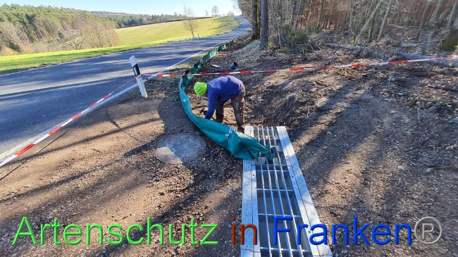 © Artenschutz in Franken® Bild zum Eintrag (1064652-160)